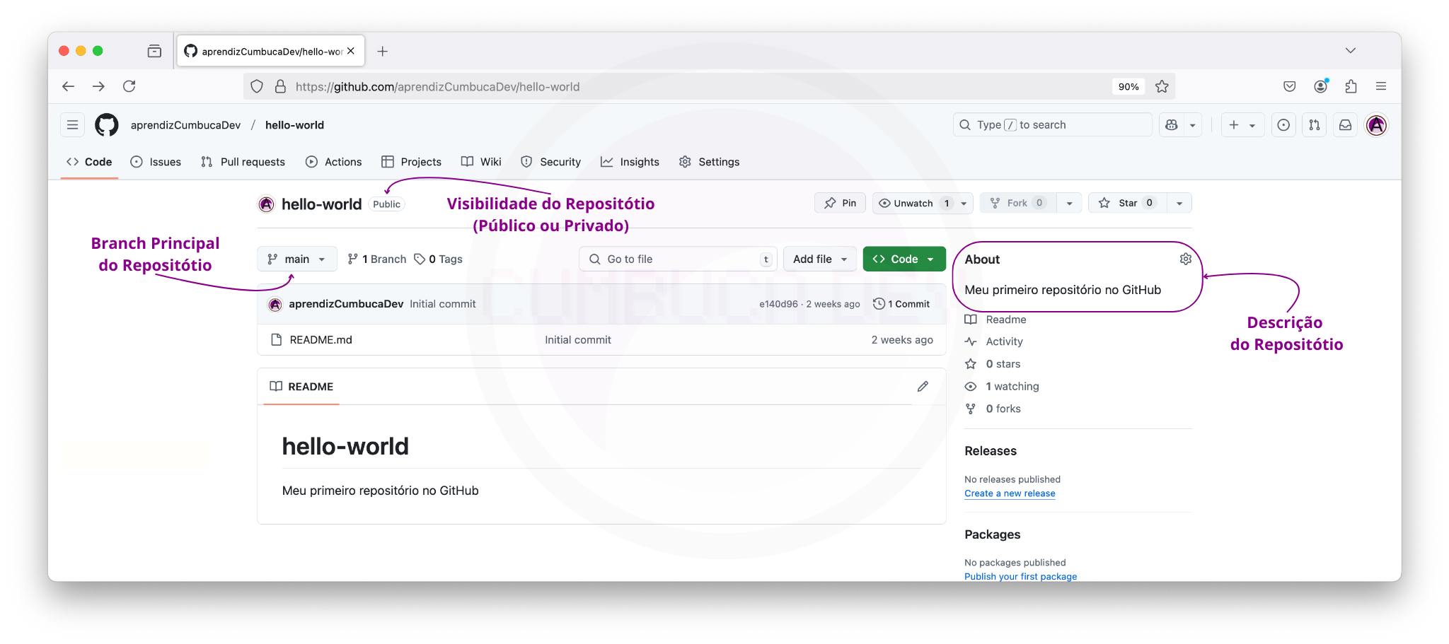 Interface do GitHub exibindo as configurações básicas de um repositório. As seções destacadas mostram o branch principal, a visibilidade (pública ou privada) e uma breve descrição do projeto.